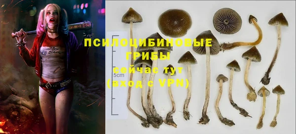 jwh Алзамай