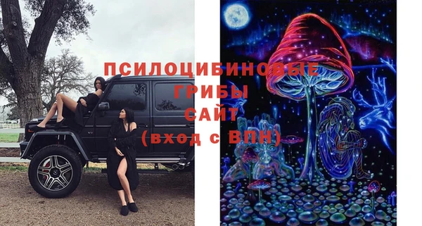 jwh Алзамай