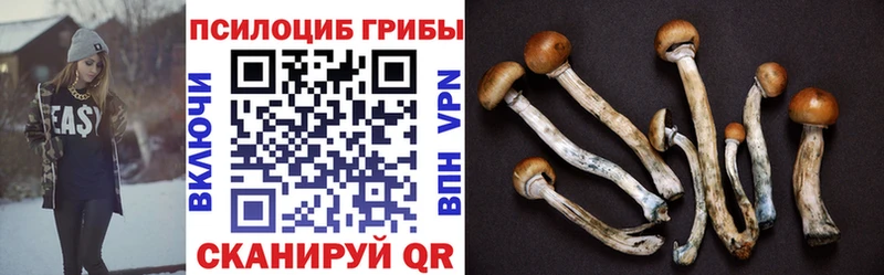 Галлюциногенные грибы MAGIC MUSHROOMS  цена наркотик  Лагань 